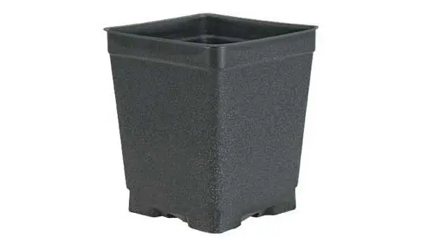 4.5" Square Plastic Grower Pot
