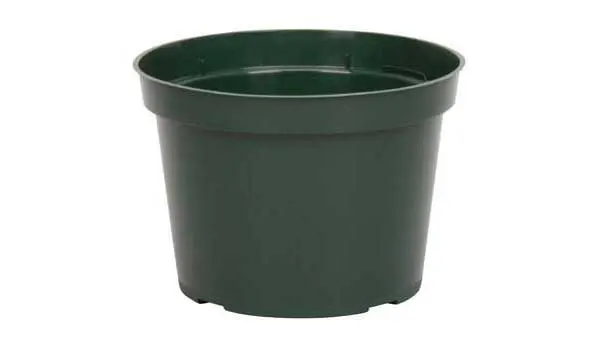 6" Plastic Grower Pot