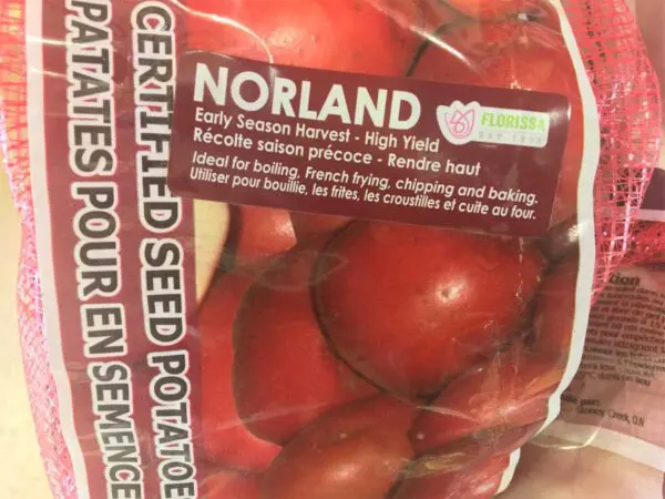 Norland Seed Potatoes