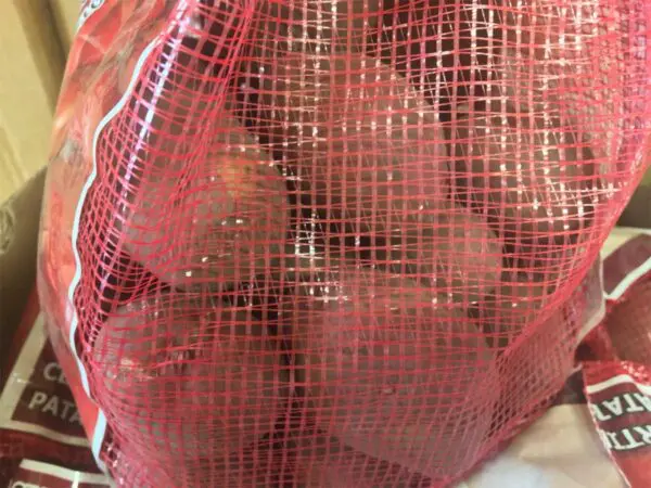 Norland Seed Potatoes - Image 2