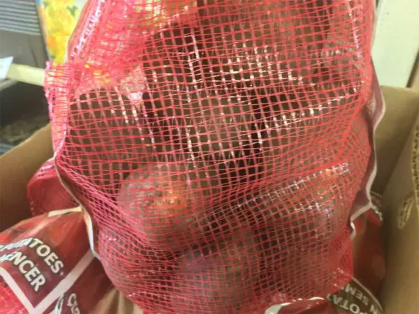 Russet Burbank Seed Potatoes - Image 2