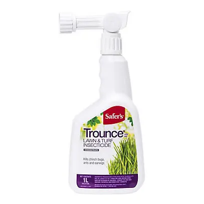 Trounce Attach & Spray Concentrate 1L
