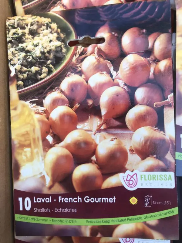 Laval French Shallot Onion Set