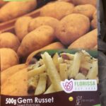 Product image of gem russet seed potato