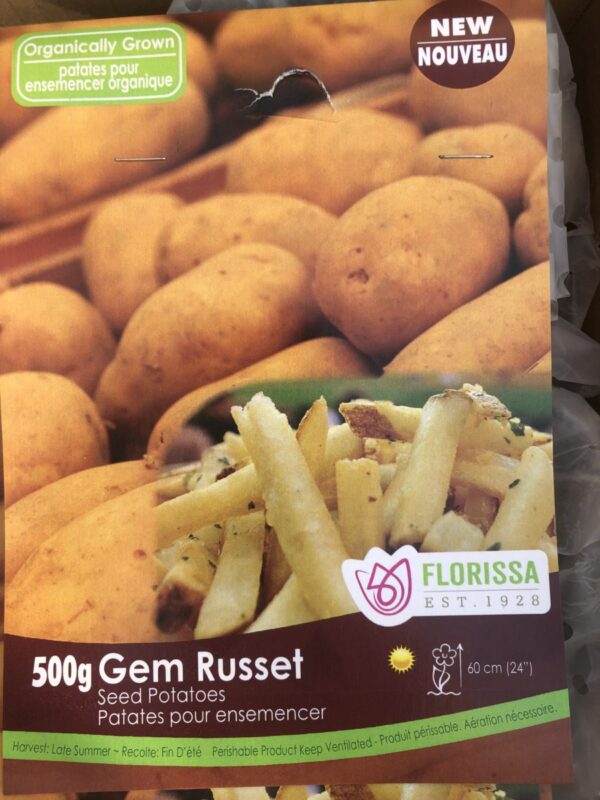 Product image of gem russet seed potato