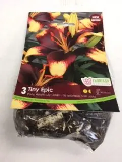 Tiny Epic Patio Lily Looks (3 pack)