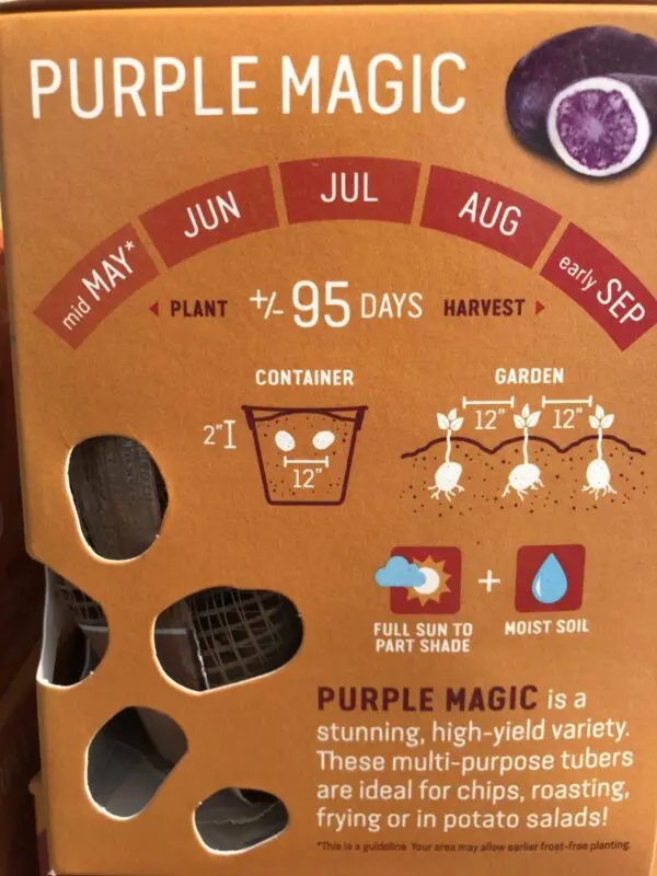 Purple Magic Earth Apples Seed Potatoes - Image 3