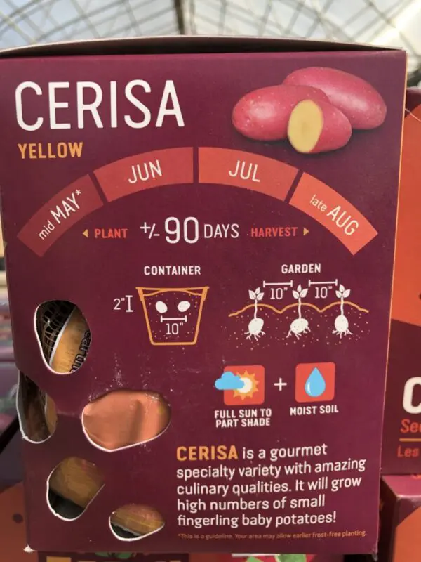 Cerisa Earth Apples Seed Potatoes - Image 3