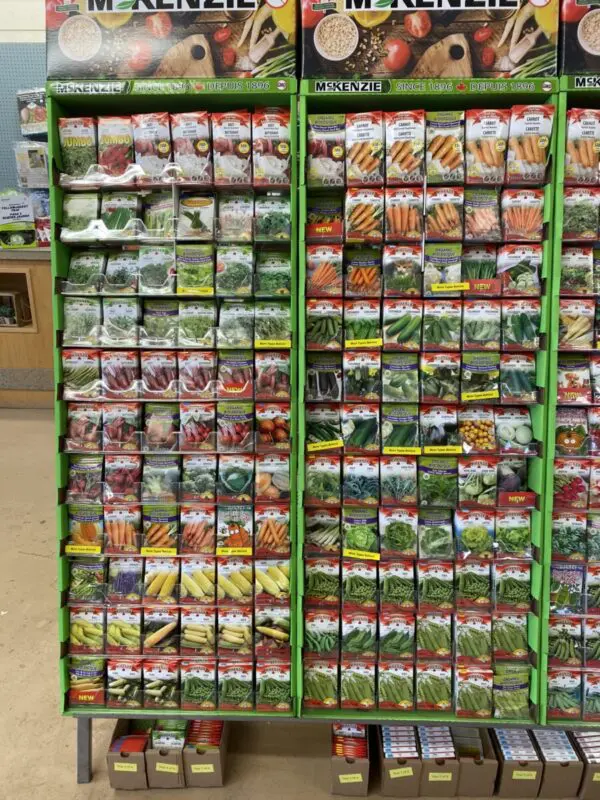 McKenzie Seeds - Image 2