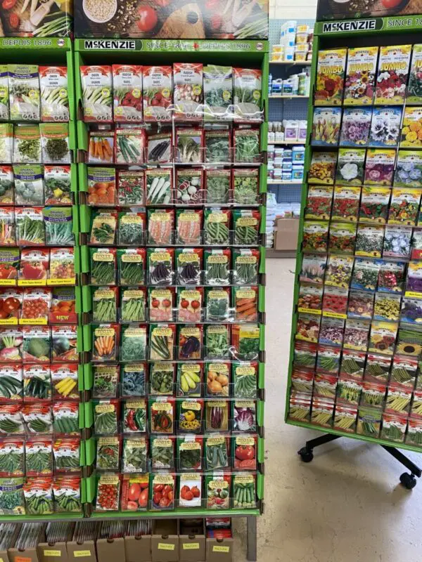 McKenzie Seeds - Image 3