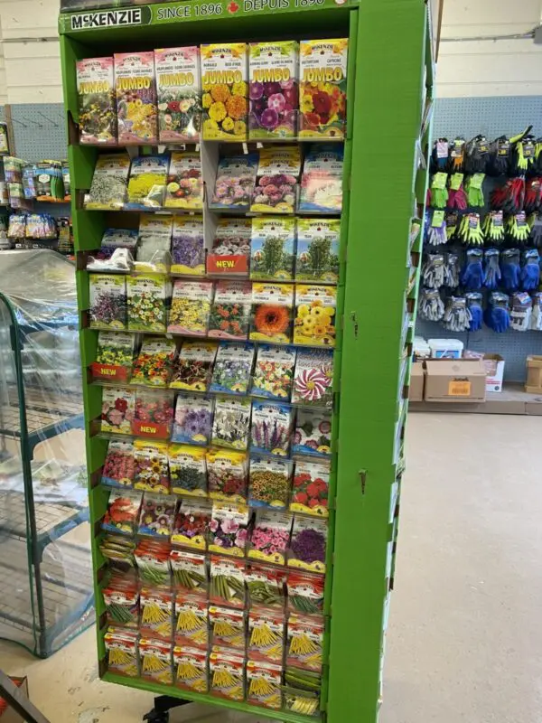 McKenzie Seeds - Image 6