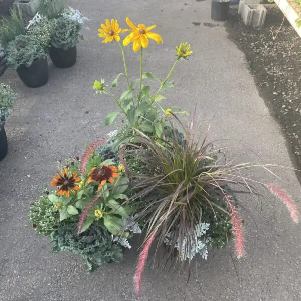 Assorted Fall Planters - Image 2