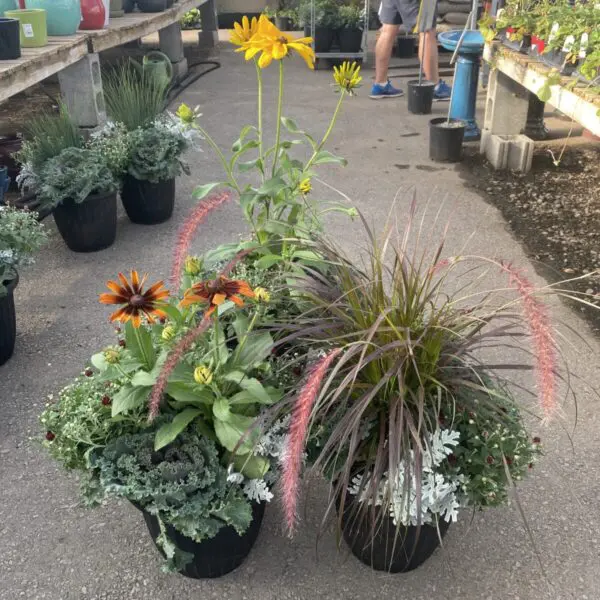 Assorted Fall Planters