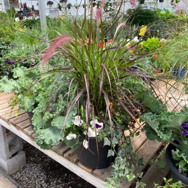 Assorted Fall Planters - Image 3