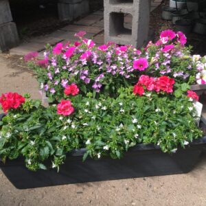 Planter Window Boxes (Assorted) – Annual Flowers
