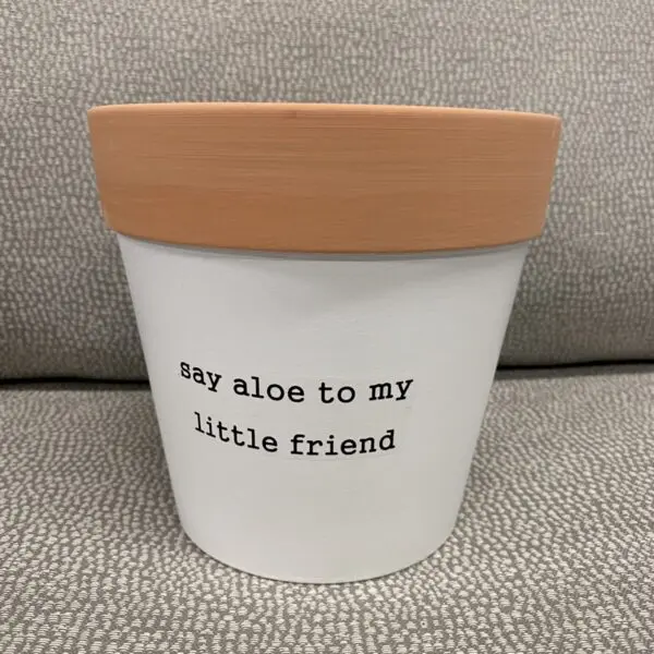 'Say Aloe To My Little Friend' Clay Pot