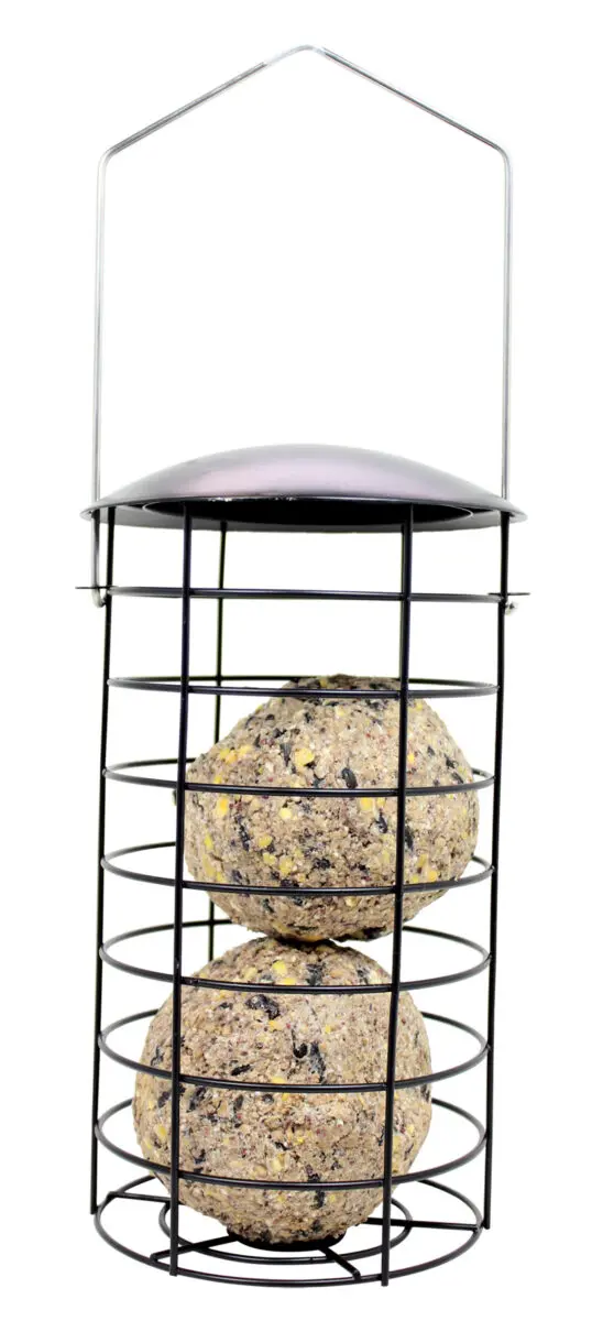 Large Suet Ball Feeder - Birds