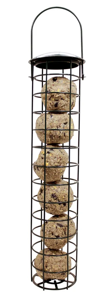 Suet Ball Feeder - Birds