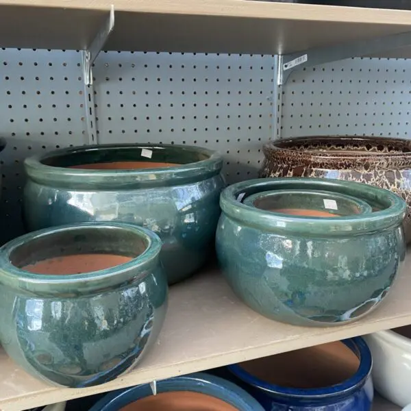 Belly Planters - Image 2