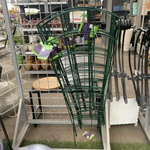 Plant Trellis (Green) - Various Sizes - Image 2