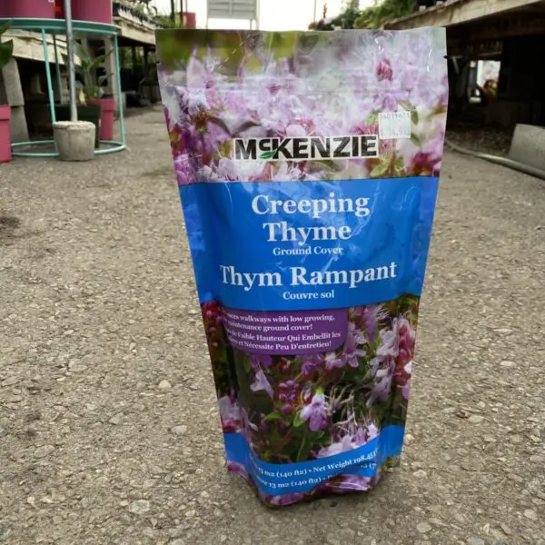 Creeping Thyme Ground Cover (McKenzie Seeds) - Covers 140 Sq. Ft