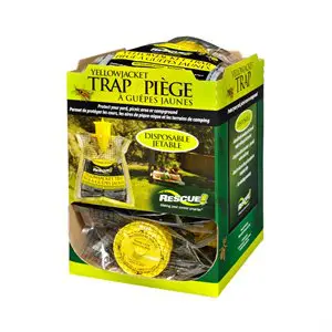 Disposable Yellowjacket Trap
