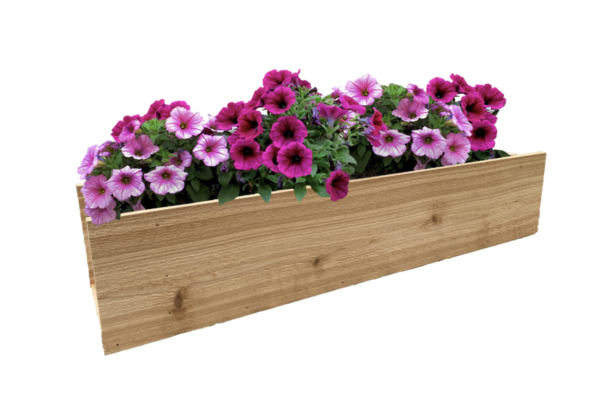 Cedar Window Boxes (Locally Made) - Containers