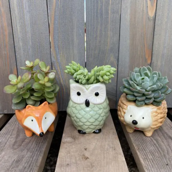 Woodland Friends Ceramic Mini-Pots