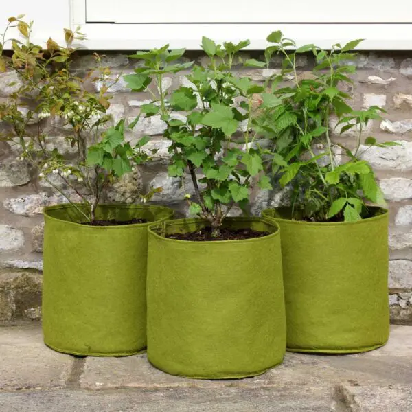 Felt Vigoroot Planter Bags (3 pack) - 10 L