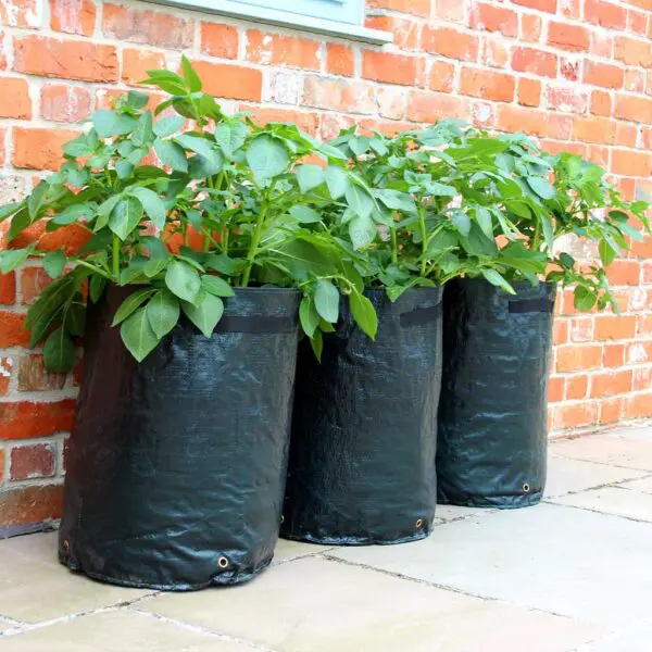 Potato Bag / Patio Planter (3 pack) - 40 L