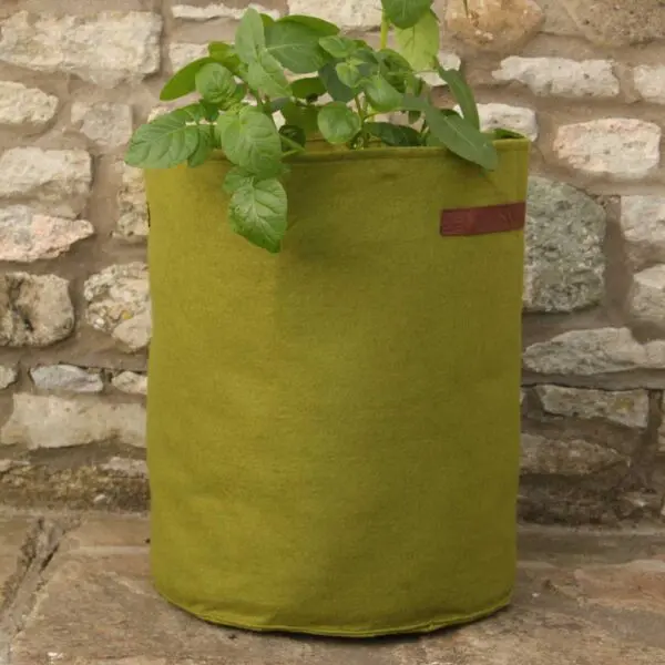 Felt Vigoroot Planter Bag (1 pack) - 40 L