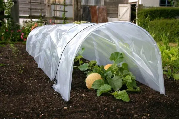 Easy Poly Tunnel