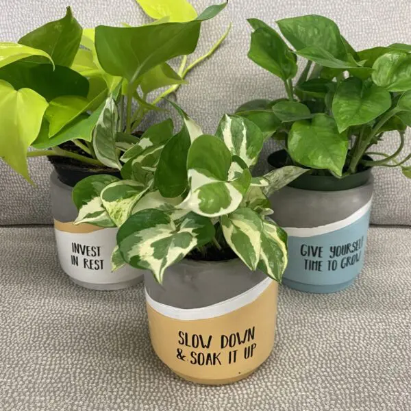 Colourful Reminder Pots - Concrete