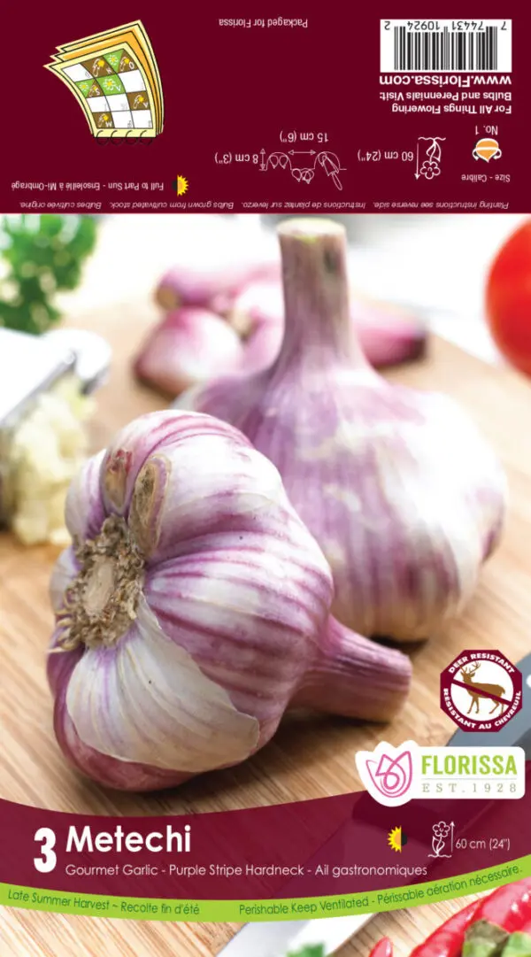 Metechi Garlic (Hardneck)