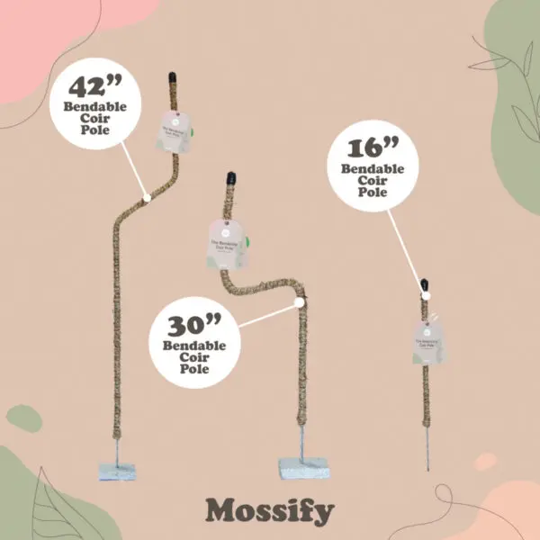 Mossify Bendable Coir Poles - Image 3