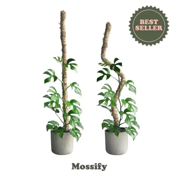 Mossify Bendable Moss Poles