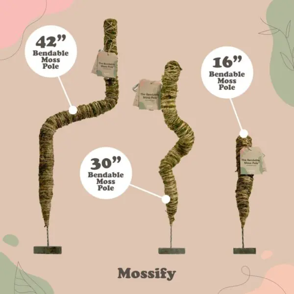 Mossify Bendable Moss Poles - Image 2