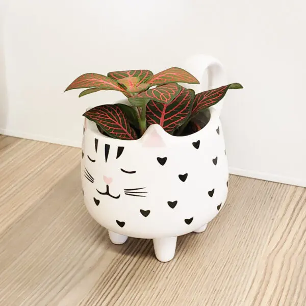 Novelty Cat Mug Planters