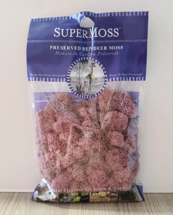 SuperMoss Reindeer Moss Terrarium supply