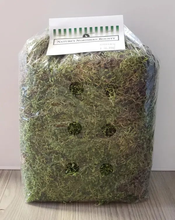 Nature's Northern Bounty Sheet Moss Preserved