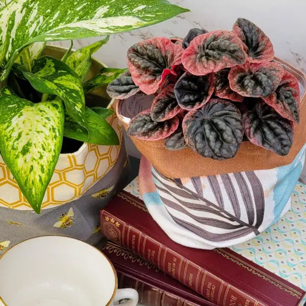 Lined Canvas Planter Pot / Storage Bin