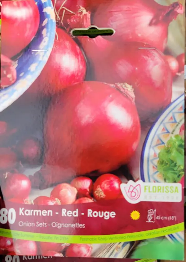 Red Onion Bulbs