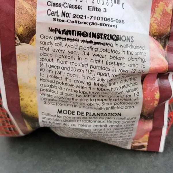 Caribe Seed Potatoes - Image 2