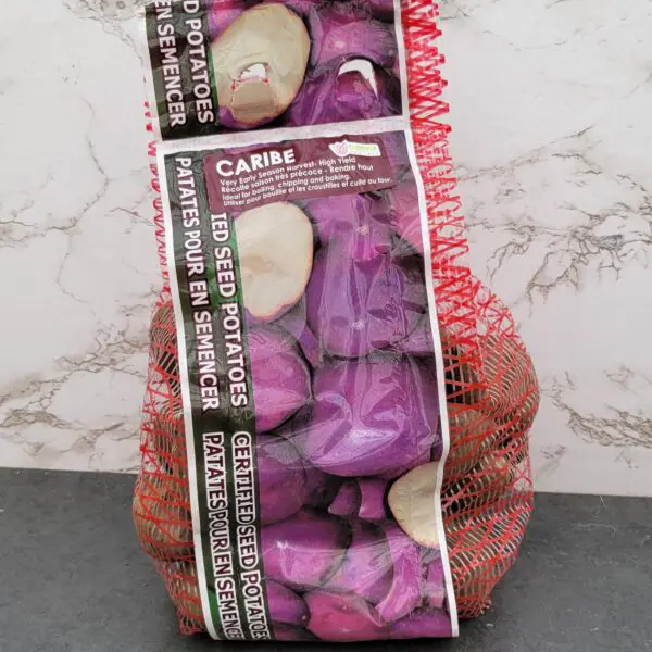 Caribe Seed Potatoes