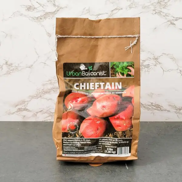 Chieftain Seed Potato - Urban Balconist