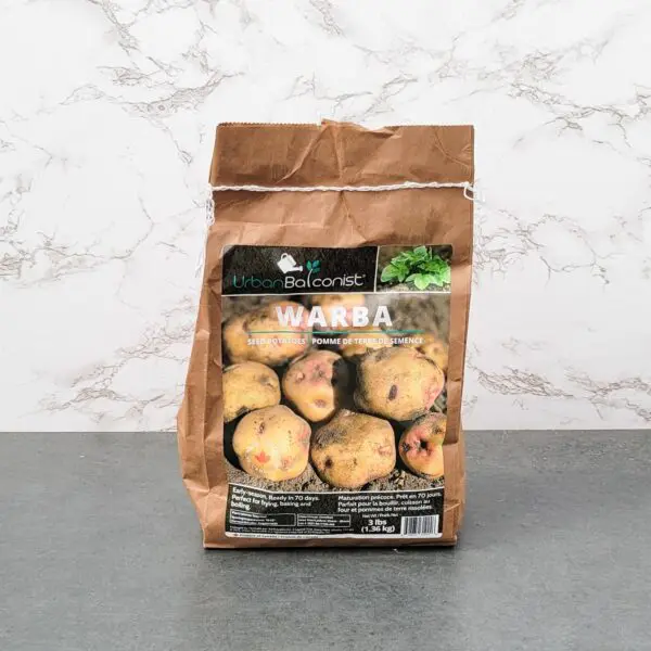 Warba Seed Potato - Urban Balconist