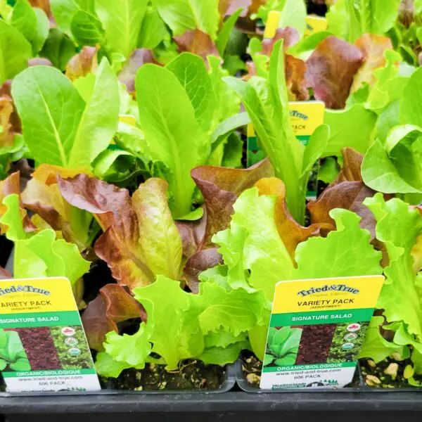 Signature Salad Mix - Veggie 6 Packs
