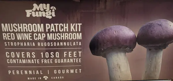 Mushroom Patch Kit -Red Wine Cap Mushrooms