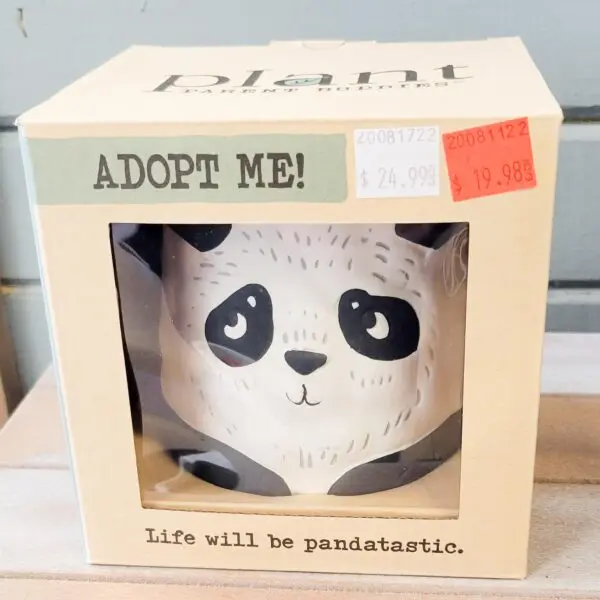 Ceramic Panda Character Planter - Pepper - Image 4