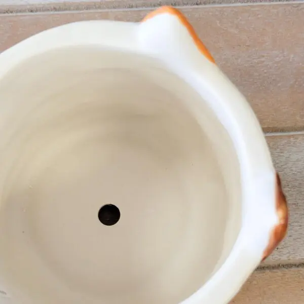 Ceramic Cat Character Planter - Roxie - Image 4